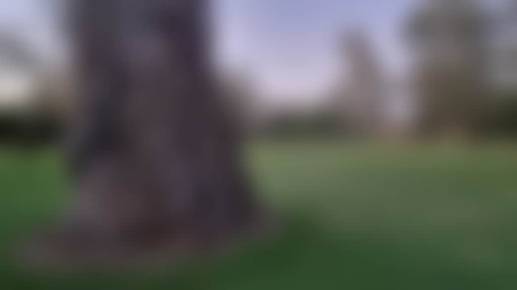 F081E19C56955B5Ce851D18E8657Eb6C