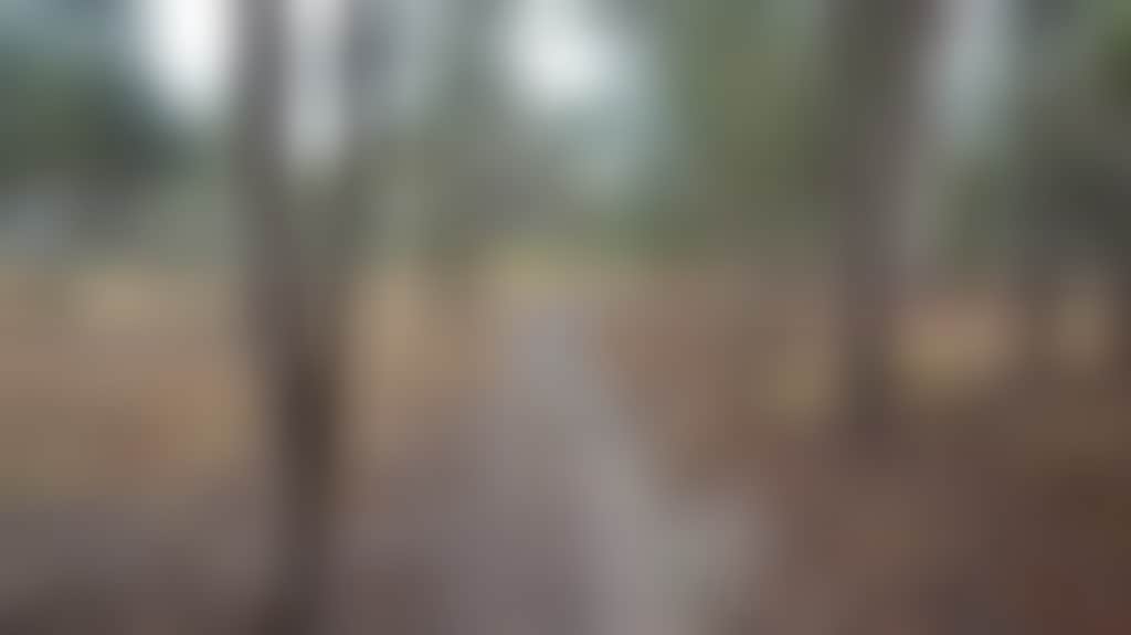 D915455E6A8Cbea7Cfe8Ce41Cddc3C87