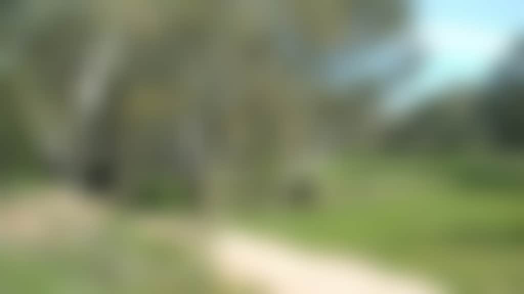 16D7Aa4Ccfdcd19083F01C6A5E12D6C4