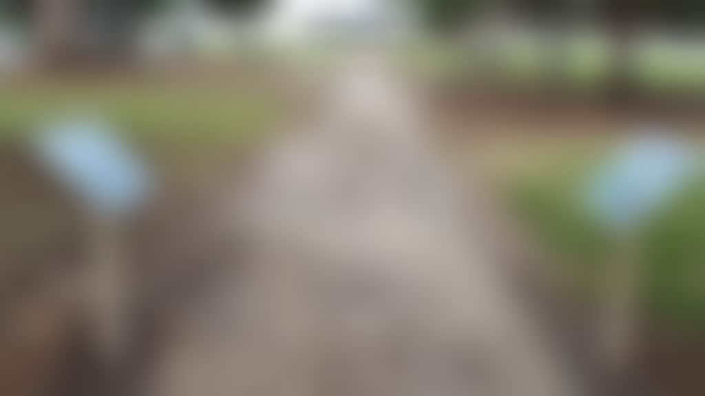 84F5Df1Eaffab24Ba946Ae3Ec24Cdb4C