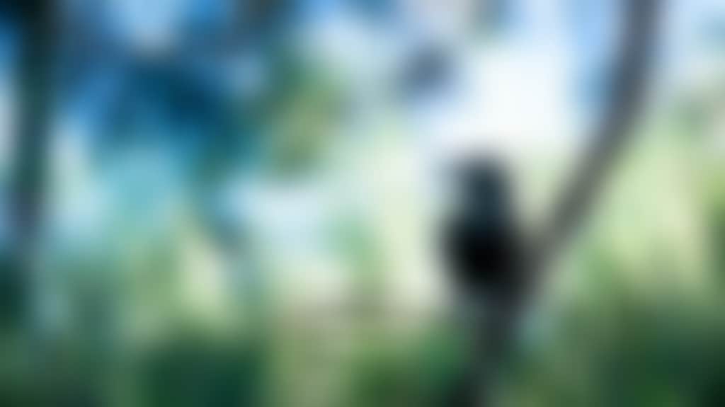 69Ad9033995Bcc22C25Ce80616F3Bbe4