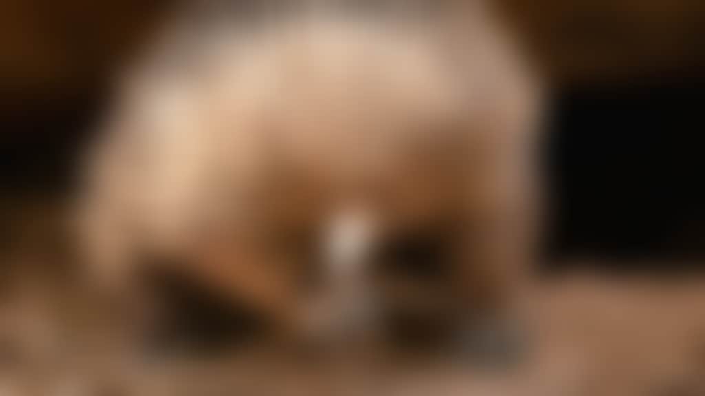 12522F857Bc3Cdcac7B75D4C365A4Be5