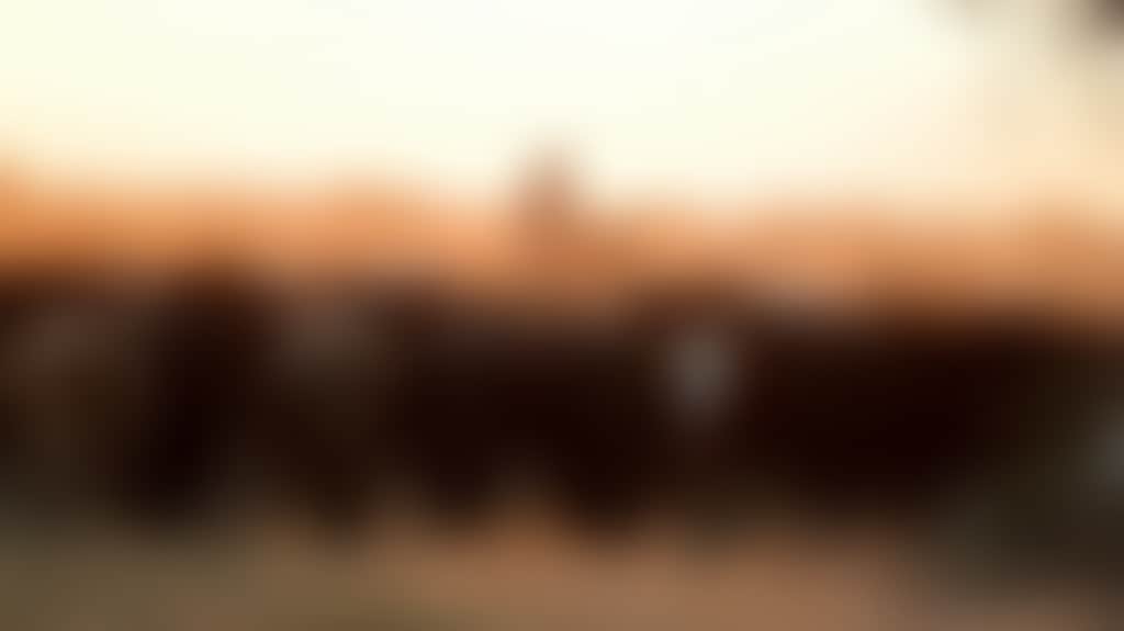 E5Da0Dc33Ff757Ddcda6B68B00Bd5681