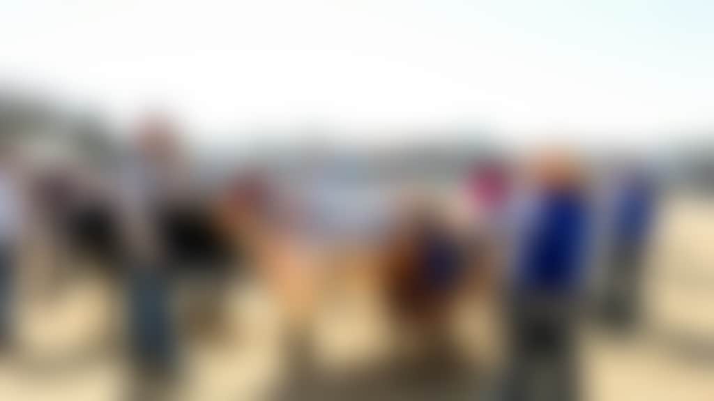 9F30Ab2F47109Bdb90F8Ff85Ad1C441E