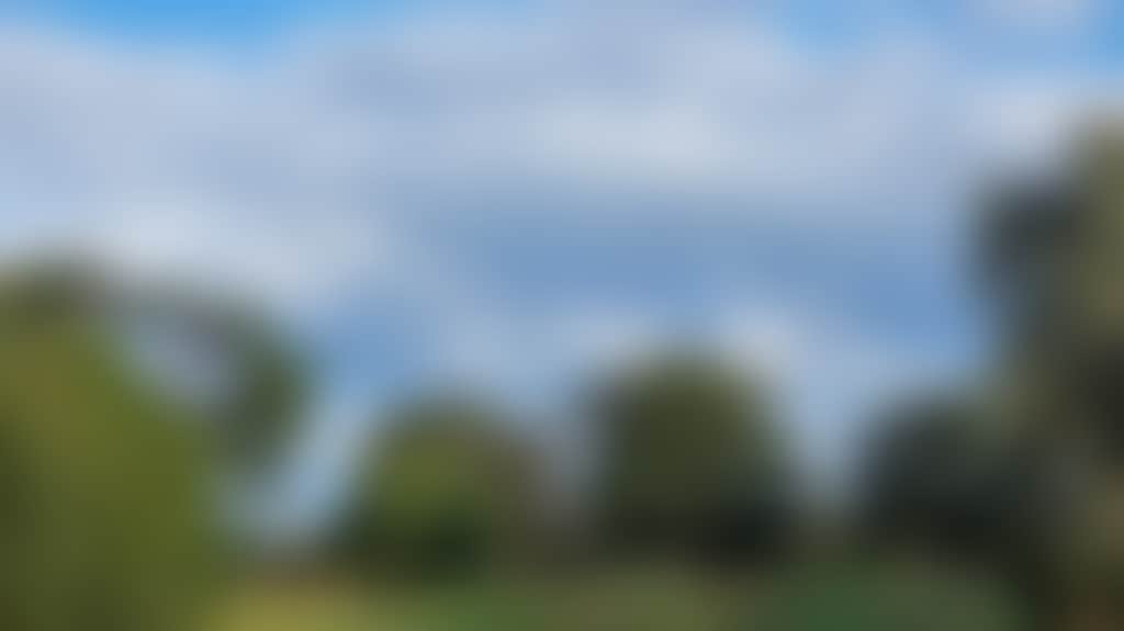 8F1700C18Fa8De75Fadc86F1C4039930