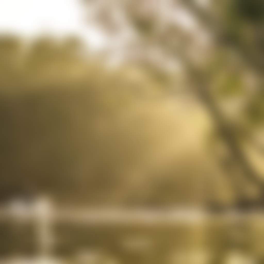 Men enjoying a day of fishing on the edward river deniliquin the murray