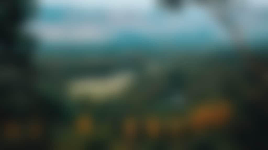 A8Ff9F4F293Cf0A86905F0E44Cd2918B