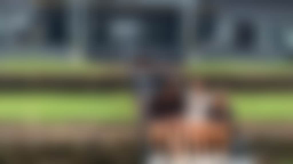 7B11C4D376E21B4B2567F7B3A81Db166