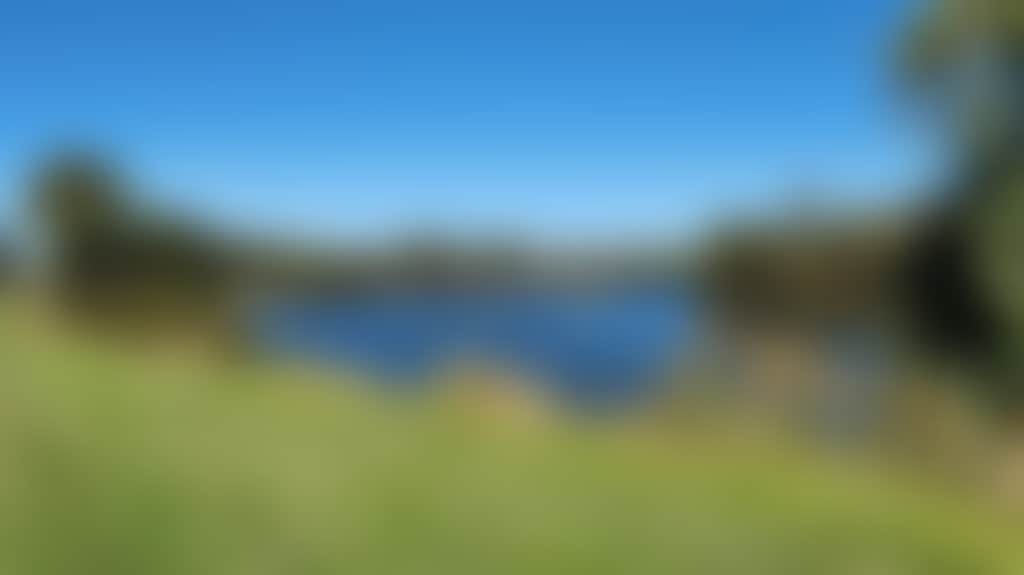 E47Bf5Aa26916548902Ca283D7E7B13C