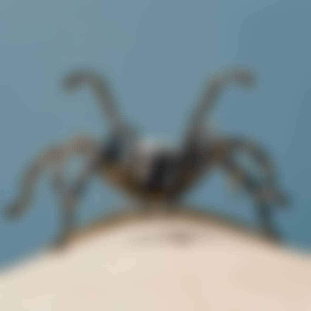 B6b0c4a6efa90d0c30a2a8c79c25bc93