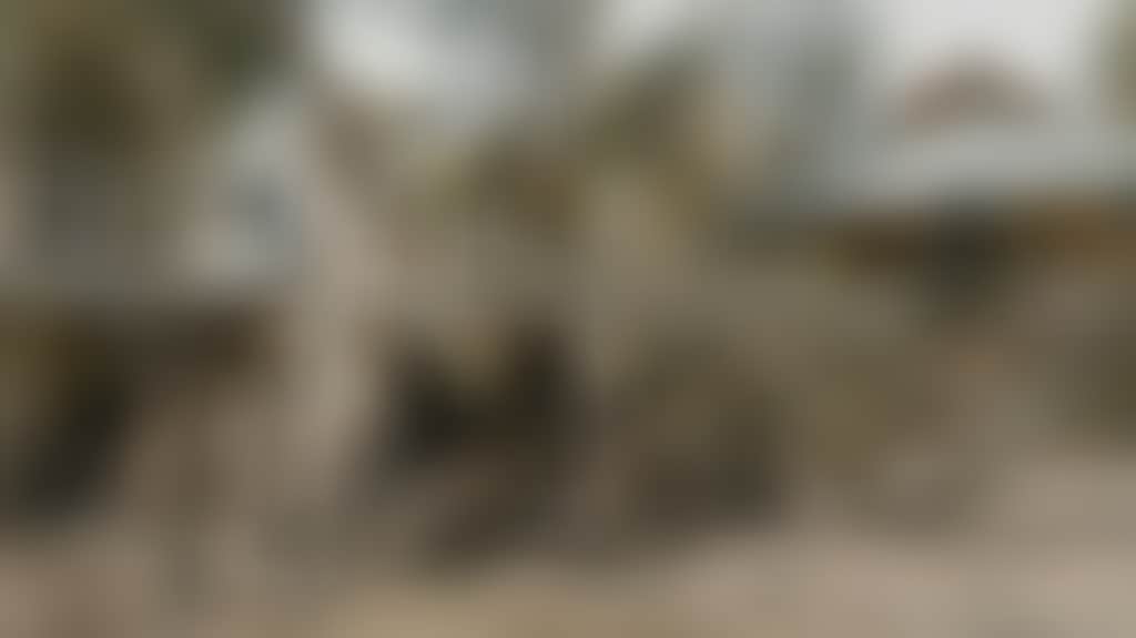 Adf68926Be3E2Ffda5Ca4Aacf21Faf2C