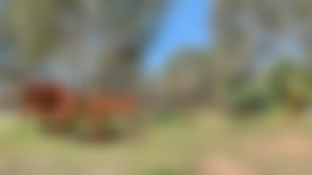 Dd211F4E3C0Bbfeaa05Abfb8Cac3Db90