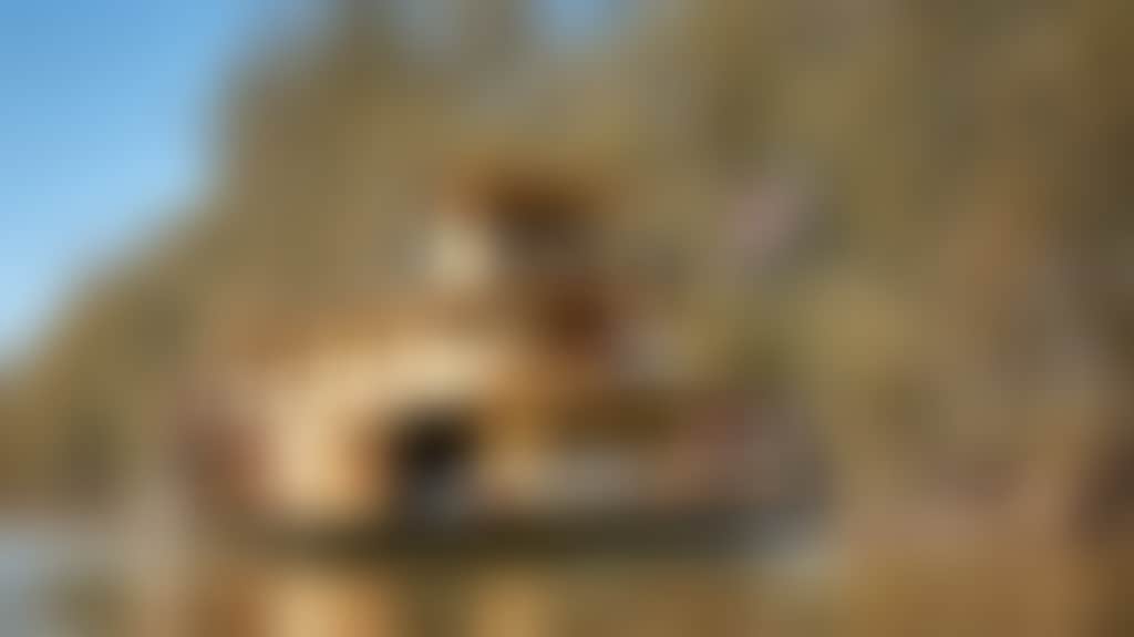 D8F431223A04C0F808C6D1710Aa59F46