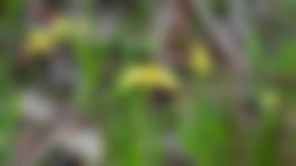 C81Db0A4D6679F52652832Aaff192185