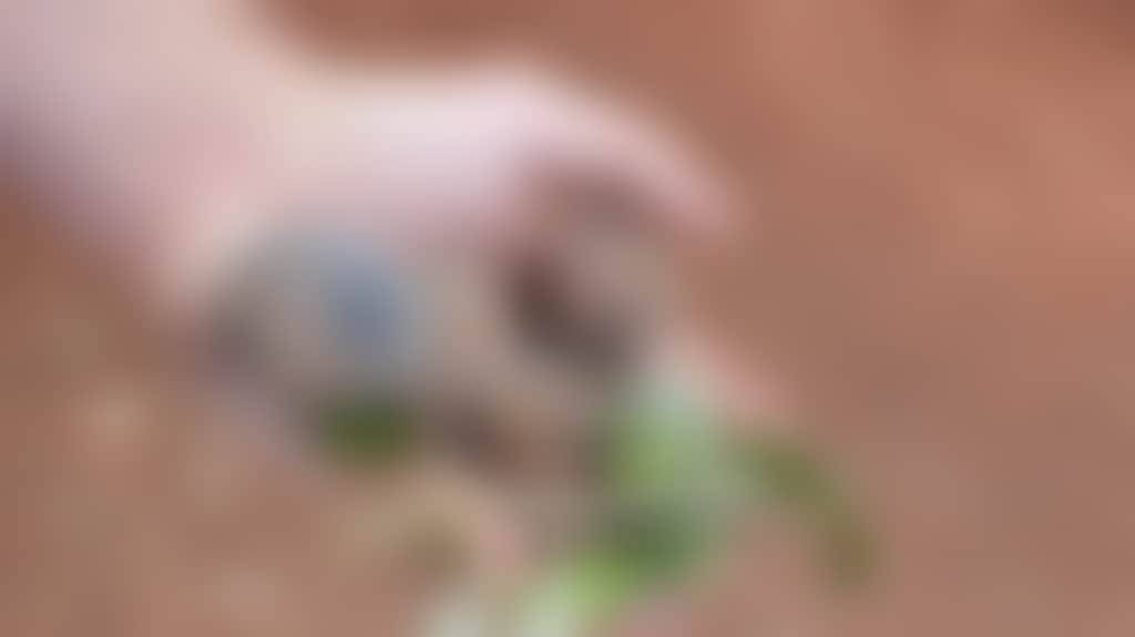 D580E5670Ec0Fd7Db08C1C2020945087