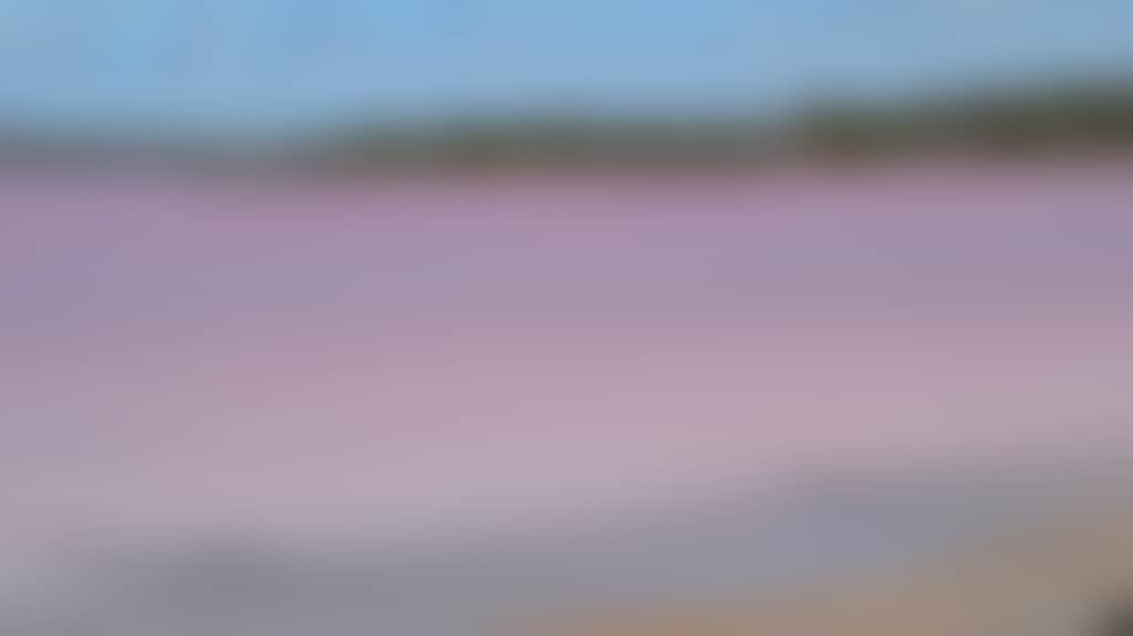 Ee2C62Ca311E1D30Fea50B23Cfcde7Ee