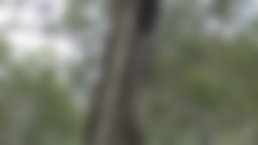 D1Fe53402B43039A6926E7F710A025Aa
