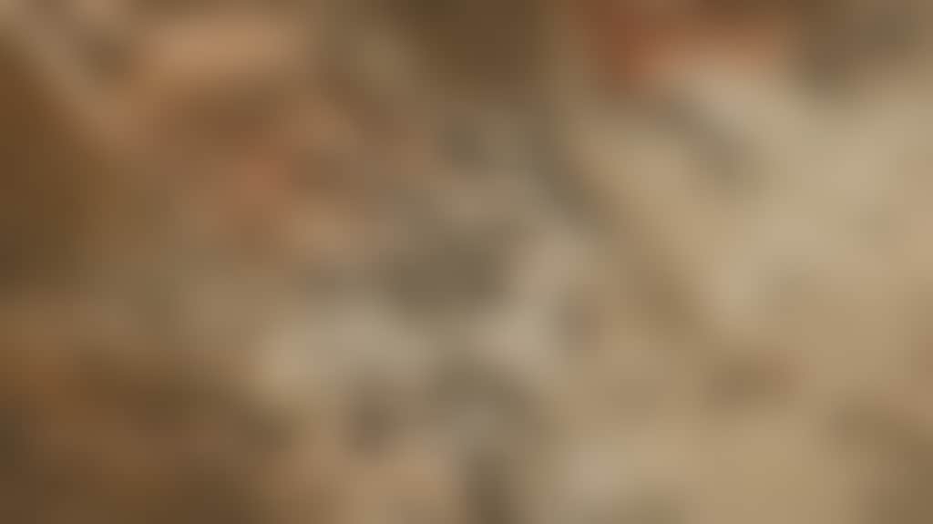 E82B049E616463757Dcc9C08371Fd981