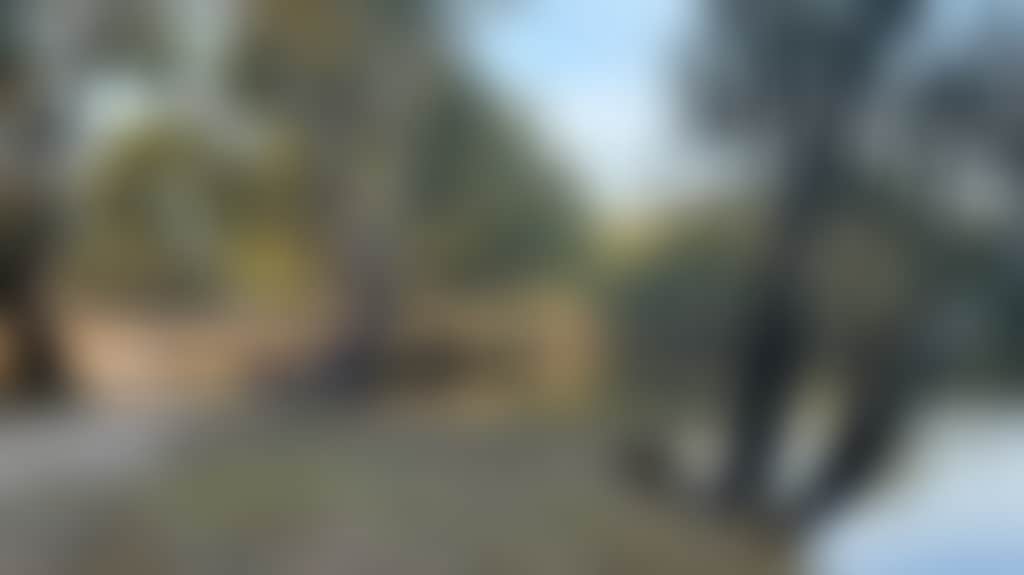 914Ae70B2Ebda766B484D53Eba2D2131