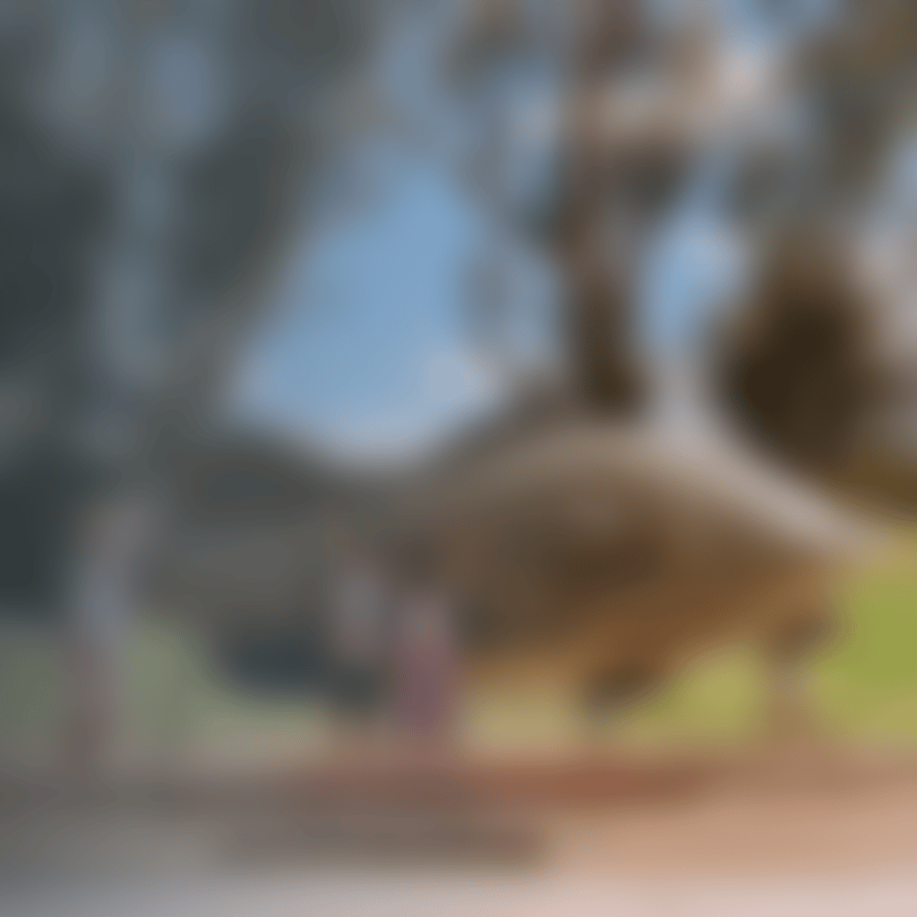 The Big Murray Cod in Tocumwal is right on the Murray River and close to local attractions