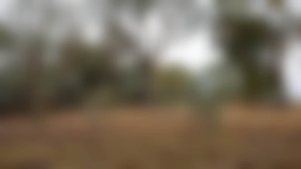 1B00C3Aedf27865B77Fec29C7073F90F