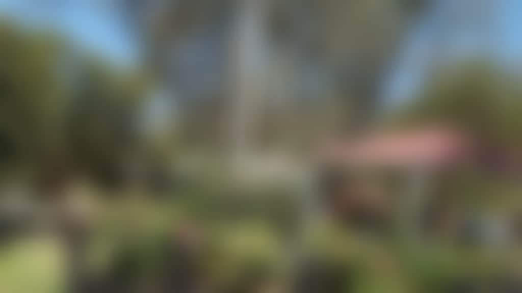 788414141568225188641Efeb6166280