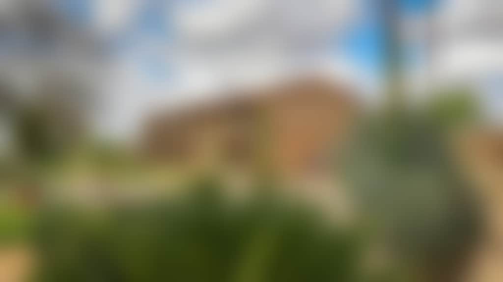 64F4412D589C8552Ba67C33C0F85Dfd2