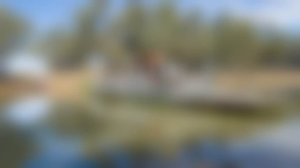 6D455D2D0Af5B3Adb52Df4499E3A2076
