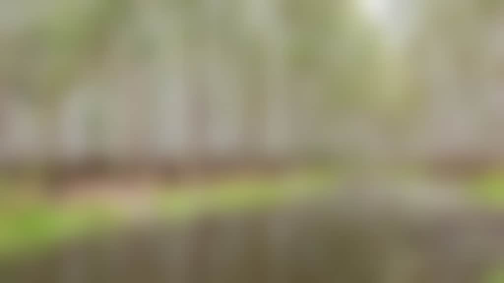E5836D29C04B948C67C1A9753518E48B