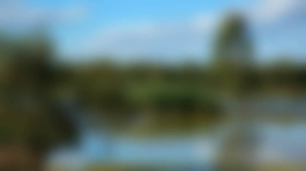 6B77D4Cdedac28101F67Ff85C8C9550F