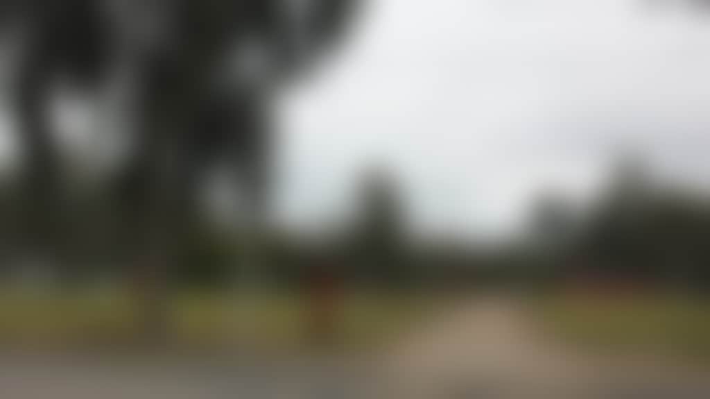 950Dd090906B29B53E24C1D592D8794A
