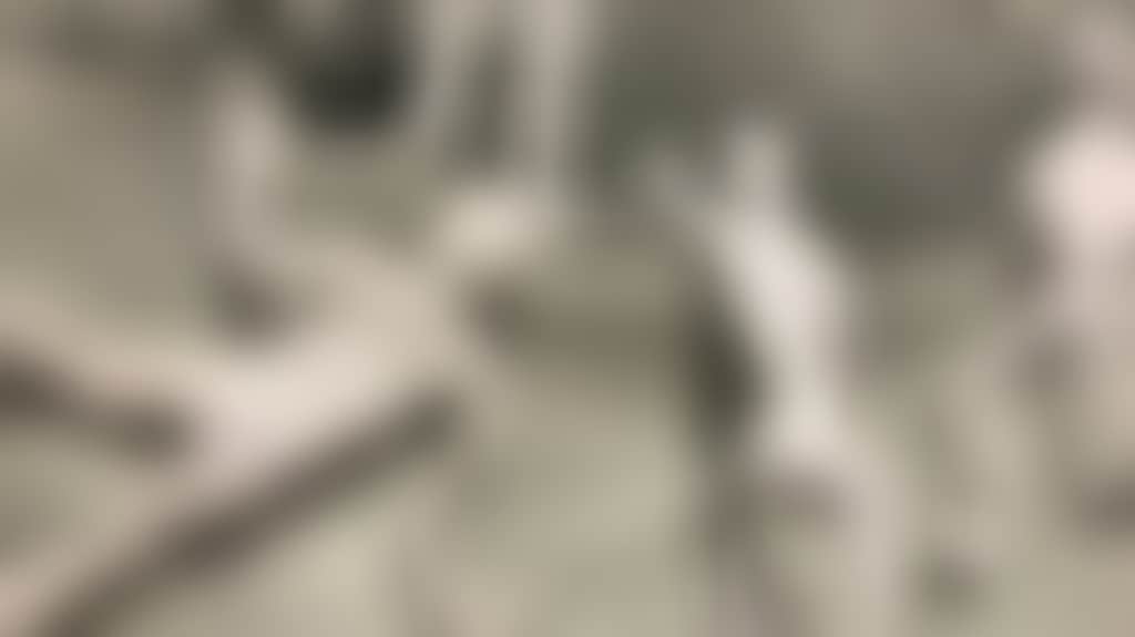 02218B441C5B84517E8C2Be6Ad83Fa2C