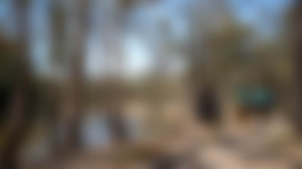 007Ba613011Eadb37F79735Dfca6E114