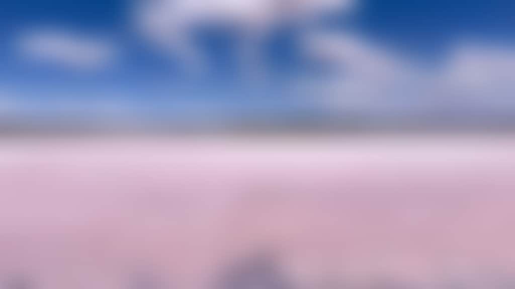 3Da54413E9795D07Bdb4C619D77E2263