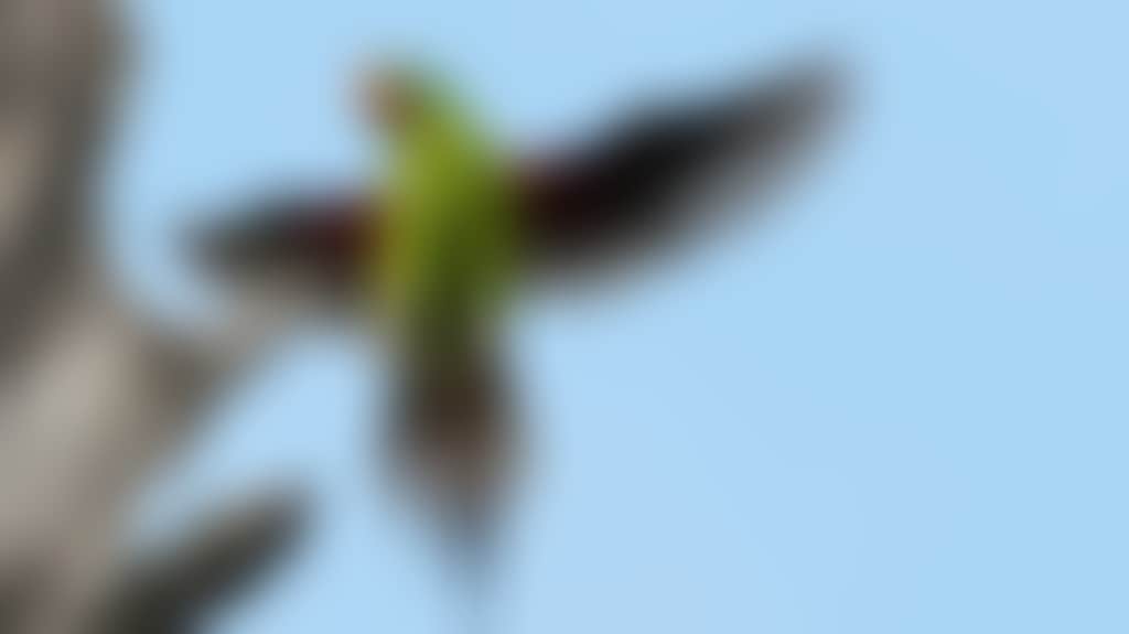 9Cc469200E32Fa279F6C613Bf4330389