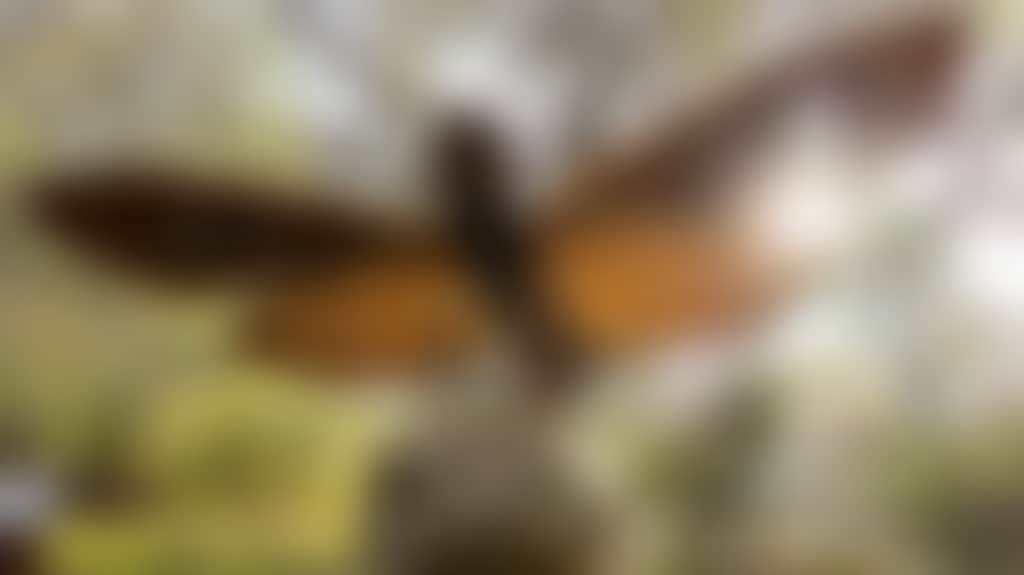 D3048F8F4E03931D8Bdde1Dfd4C34Aa1