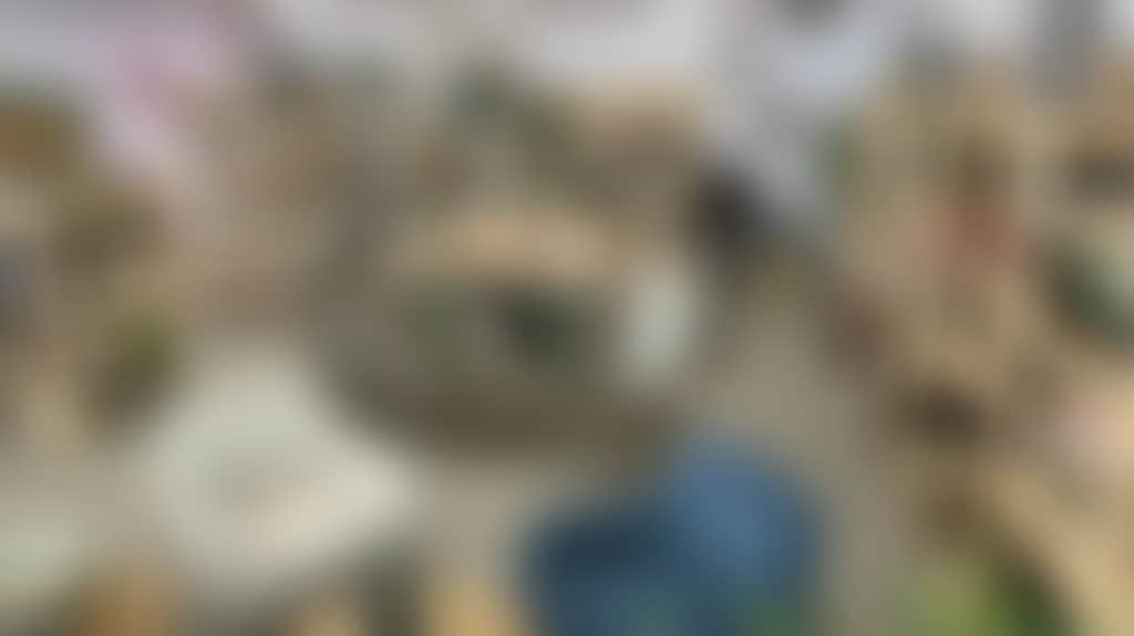 A8Dca7Dd4C8Ce290Ada08D12033C7C0F