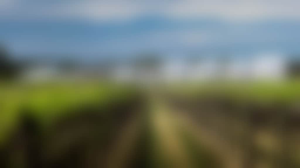 A604Ab03E012C0Dee68413757637895B