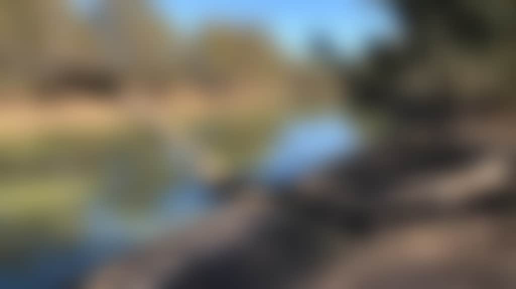 Murraywood-Murraywood-On-The-Murray-The-Mallee_4F4Wqtb
