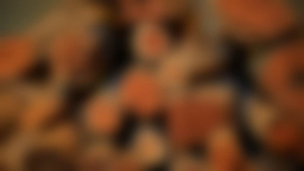 24C479C34658548A326A31628F5C2E65