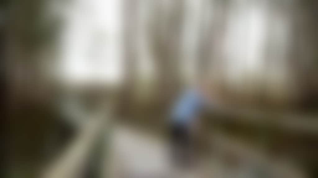 0Ba6E1A05Cc339F9A5Cc586Ff353F17E