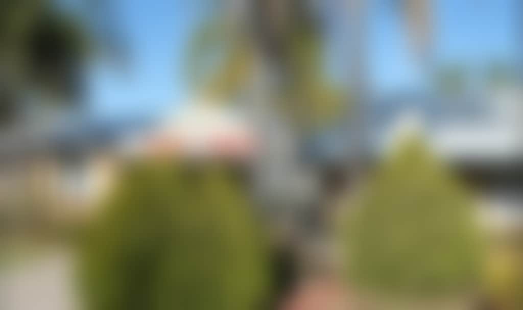 2D1213F0972Ec2Be406A0C2Ae10F13F4