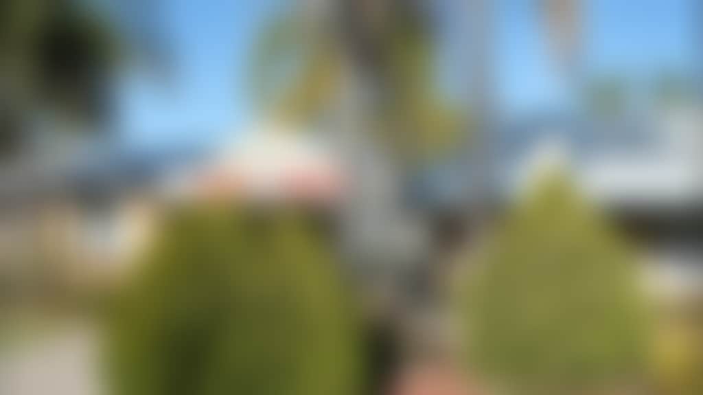 2D1213F0972Ec2Be406A0C2Ae10F13F4