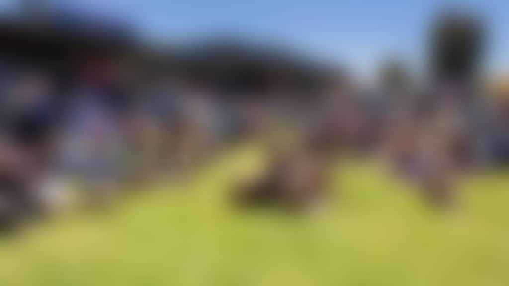 E2B47E46361C9E4D8C776A4Ec3F01Bce