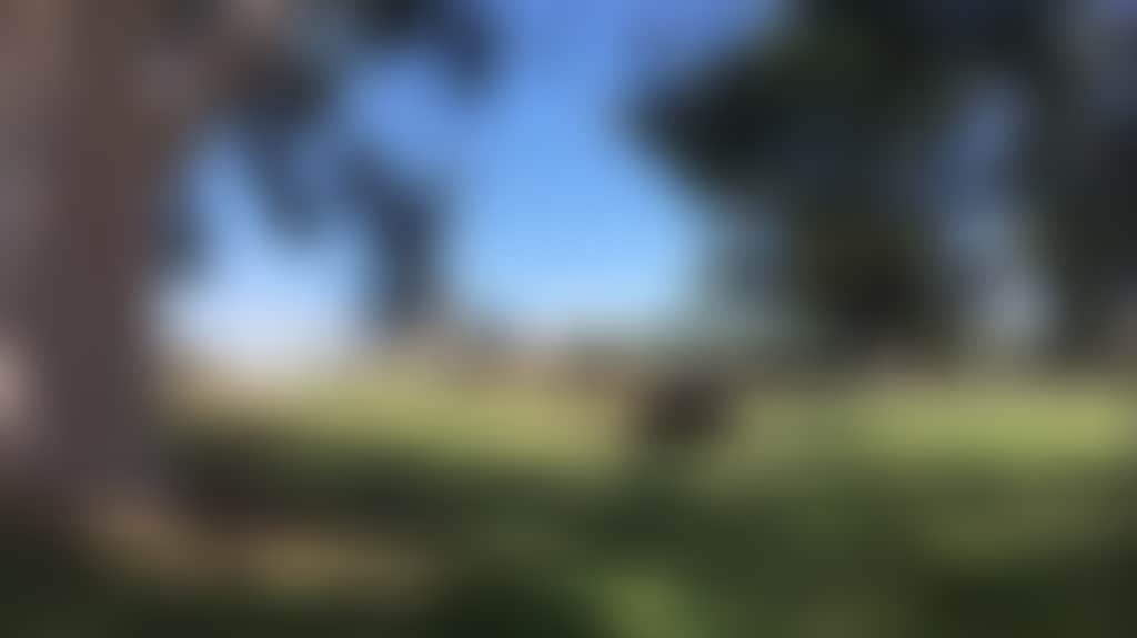 1A7722D96Ae7A232E775C57Ed09B4E28