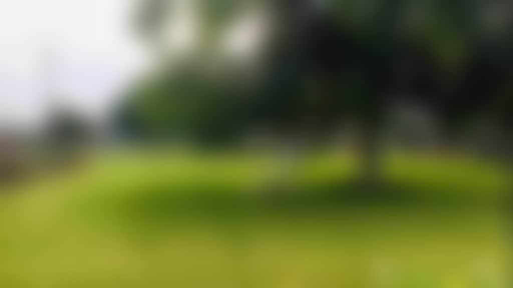 B0973C61F3999B14D19Dd077Bd12C0Dc