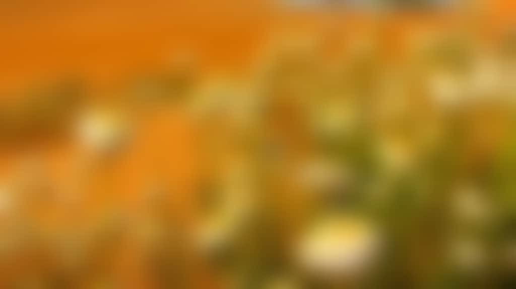 A55E0Ba6E4Db3Ec5Fe258382E8166B80
