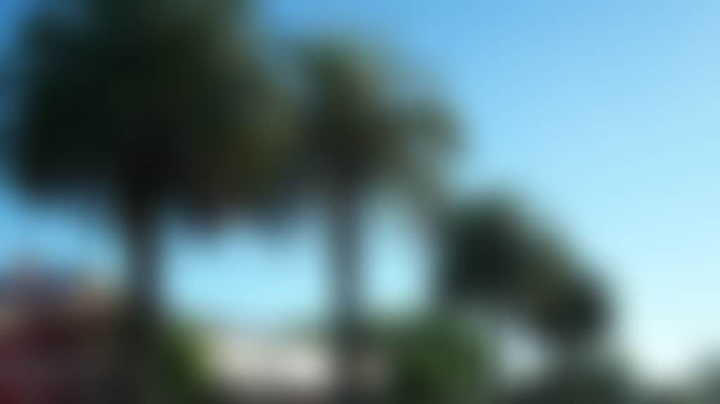Original__9988866_2640_Balfour_St_Culcairn_Palms_3_Ygxm3Hu