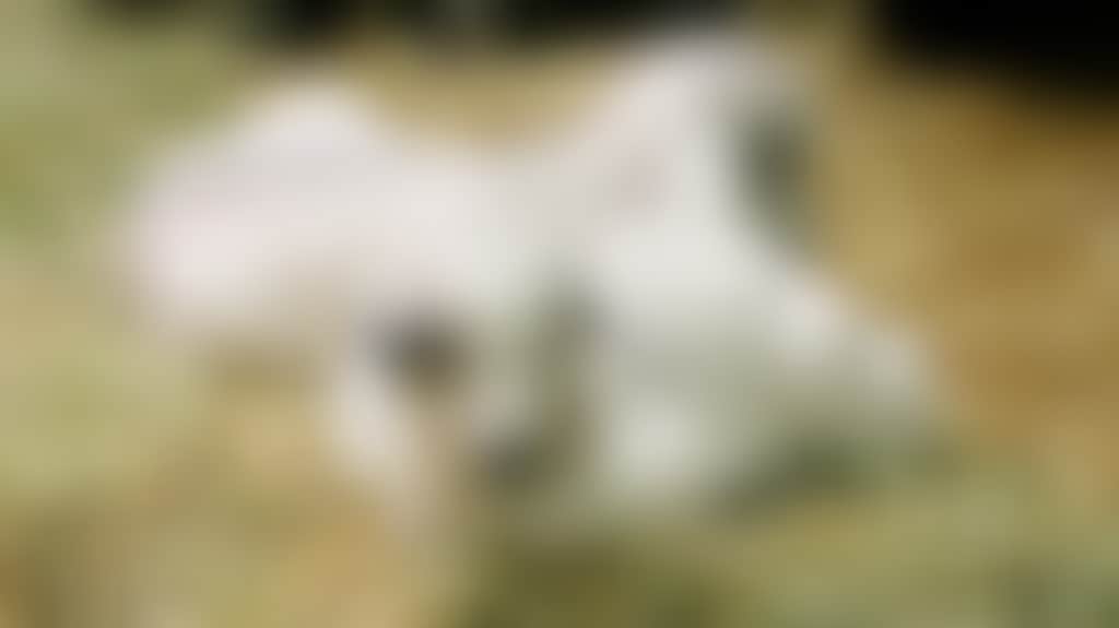 Addfa0768B1A24042384388512145Fcd