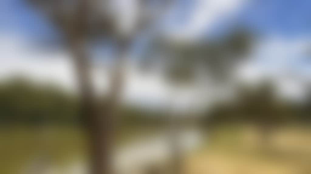 Five-Mile-Picnic-Area-02_Wkad7P9
